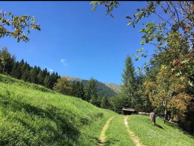 Baita Palue Torcegno Екстериор снимка